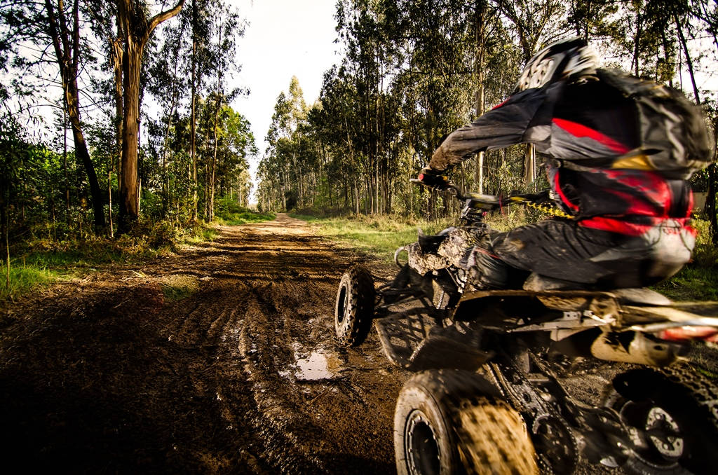 Quad Biking Safari incl. Private Strip Show